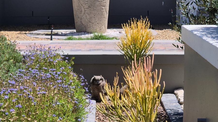 2 Bedroom Property for Sale in Langebaan Country Estate Western Cape